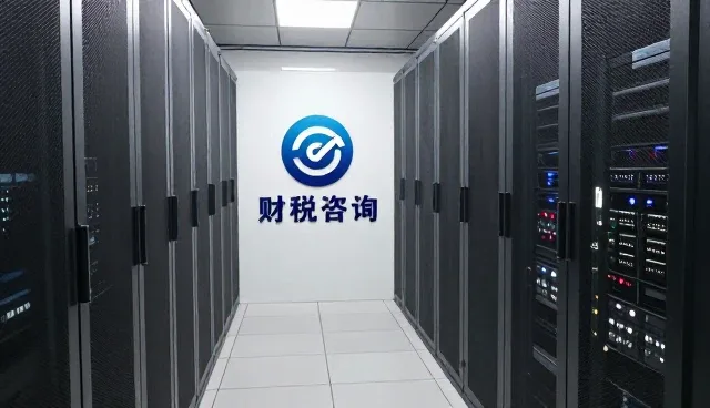 财税咨询中的常见问题及实际应对策略